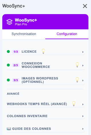 Panneau de configuration guidé de WooSync+ dans Google Sheets